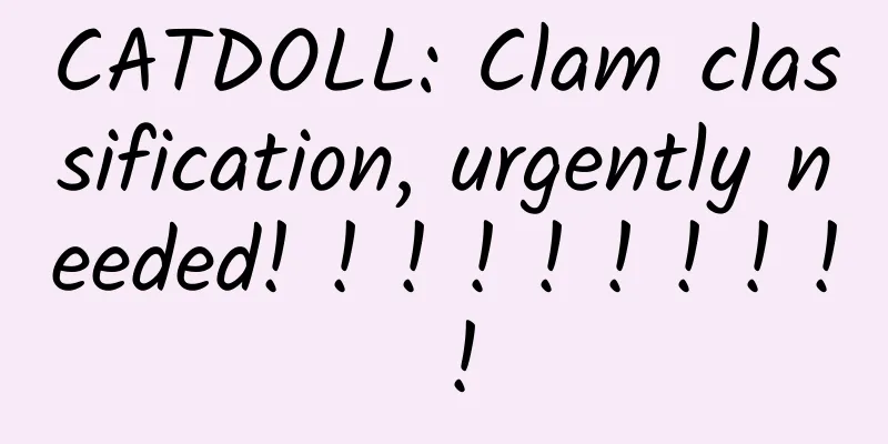 CATDOLL: Clam classification, urgently needed! ! ! ! ! ! ! ! ! !