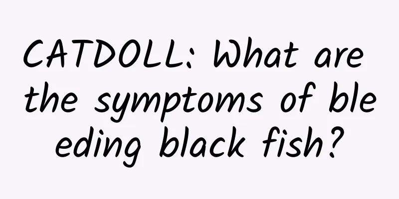 CATDOLL: What are the symptoms of bleeding black fish?