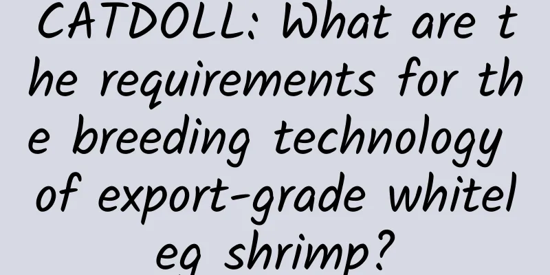CATDOLL: What are the requirements for the breeding technology of export-grade whiteleg shrimp?