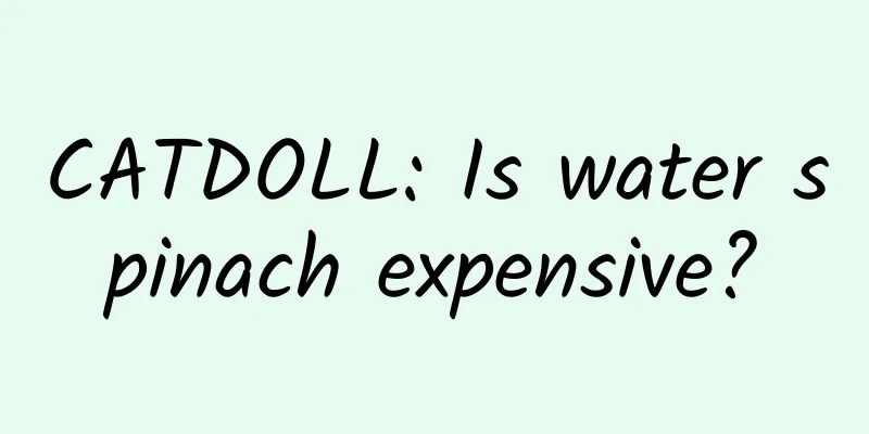 CATDOLL: Is water spinach expensive?