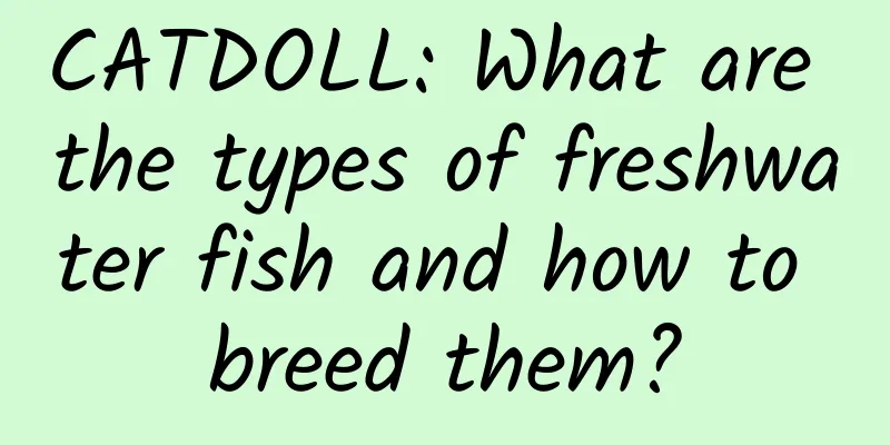 CATDOLL: What are the types of freshwater fish and how to breed them?