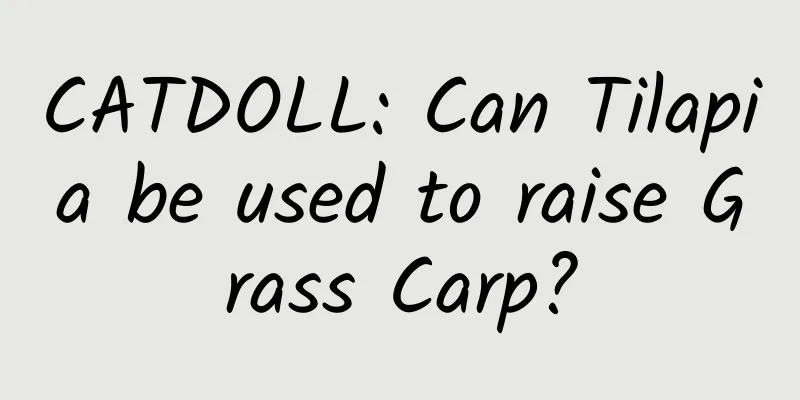 CATDOLL: Can Tilapia be used to raise Grass Carp?
