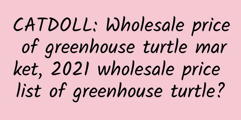 CATDOLL: Wholesale price of greenhouse turtle market, 2021 wholesale price list of greenhouse turtle?