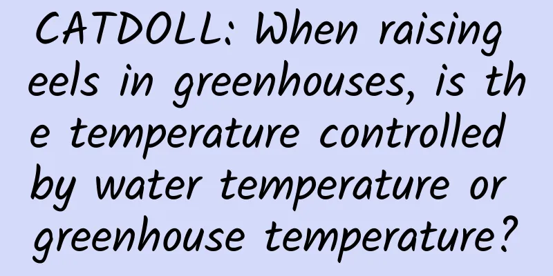 CATDOLL: When raising eels in greenhouses, is the temperature controlled by water temperature or greenhouse temperature?