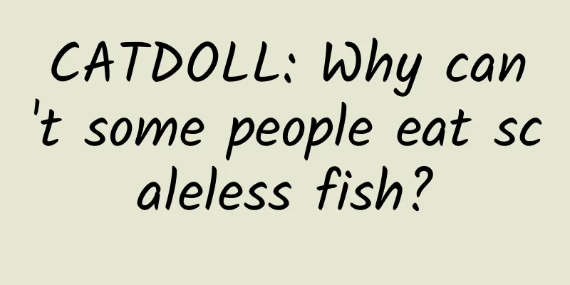 CATDOLL: Why can't some people eat scaleless fish?