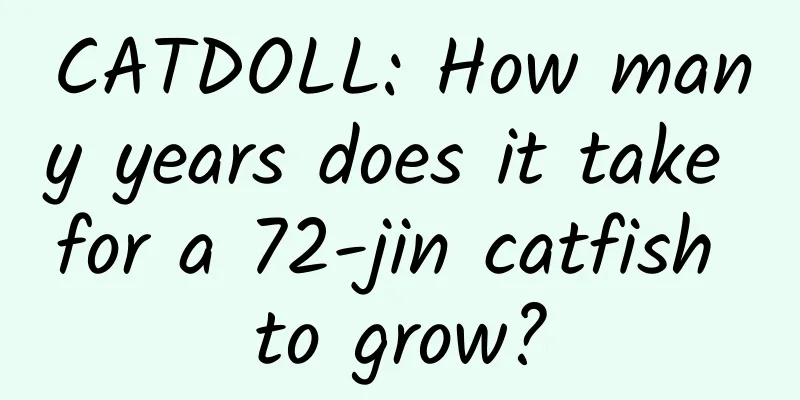 CATDOLL: How many years does it take for a 72-jin catfish to grow?