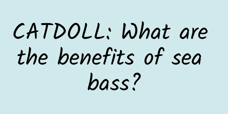 CATDOLL: What are the benefits of sea bass?