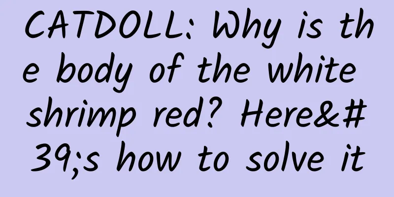 CATDOLL: Why is the body of the white shrimp red? Here's how to solve it