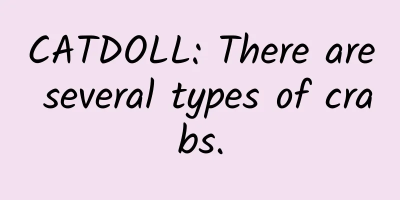CATDOLL: There are several types of crabs.