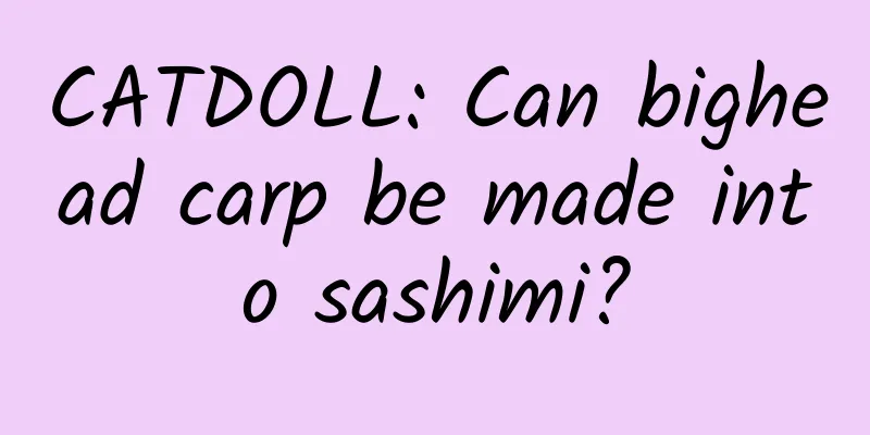CATDOLL: Can bighead carp be made into sashimi?