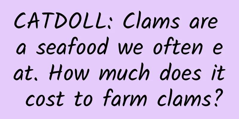 CATDOLL: Clams are a seafood we often eat. How much does it cost to farm clams?