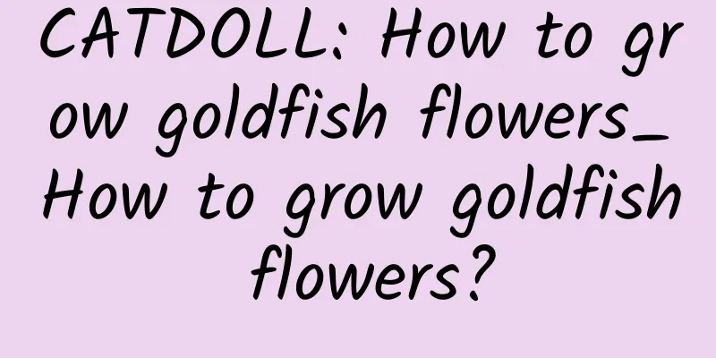 CATDOLL: How to grow goldfish flowers_How to grow goldfish flowers?