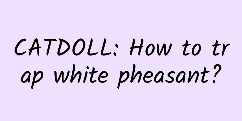 CATDOLL: How to trap white pheasant?