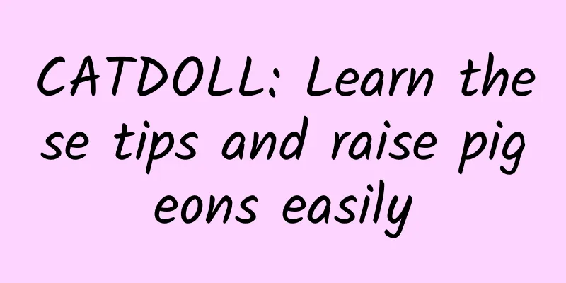 CATDOLL: Learn these tips and raise pigeons easily