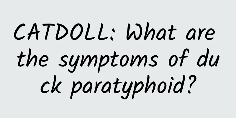 CATDOLL: What are the symptoms of duck paratyphoid?