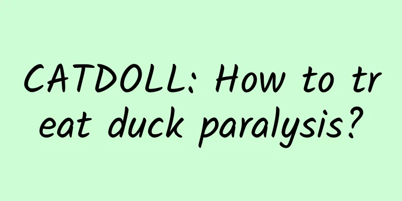 CATDOLL: How to treat duck paralysis?