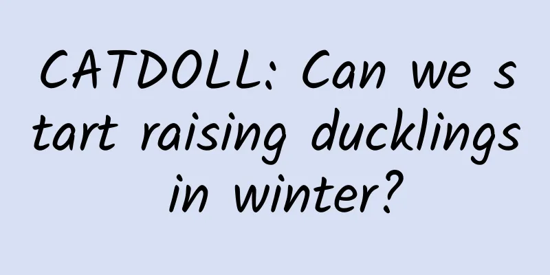 CATDOLL: Can we start raising ducklings in winter?