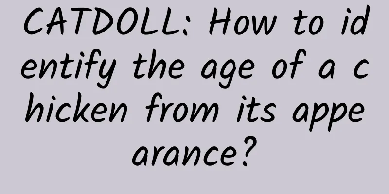 CATDOLL: How to identify the age of a chicken from its appearance?