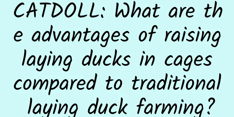 CATDOLL: What are the advantages of raising laying ducks in cages compared to traditional laying duck farming?