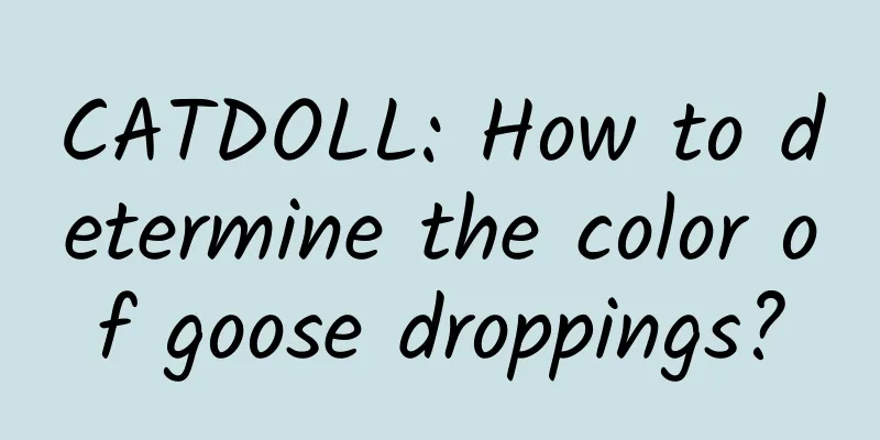 CATDOLL: How to determine the color of goose droppings?