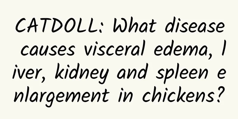 CATDOLL: What disease causes visceral edema, liver, kidney and spleen enlargement in chickens?