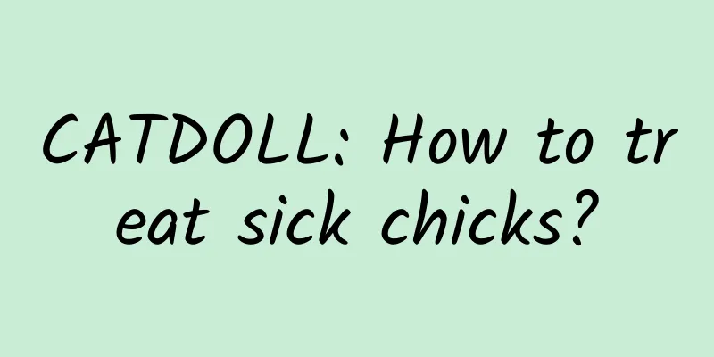CATDOLL: How to treat sick chicks?