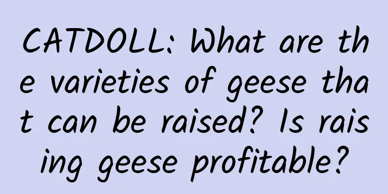 CATDOLL: What are the varieties of geese that can be raised? Is raising geese profitable?