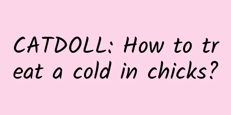 CATDOLL: How to treat a cold in chicks?
