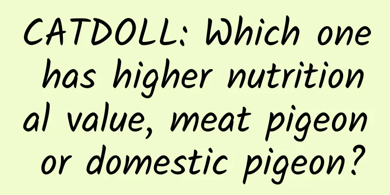 CATDOLL: Which one has higher nutritional value, meat pigeon or domestic pigeon?