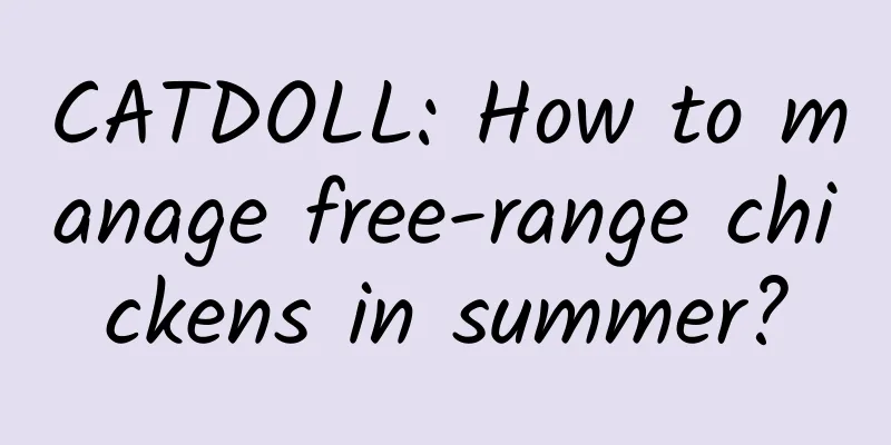 CATDOLL: How to manage free-range chickens in summer?