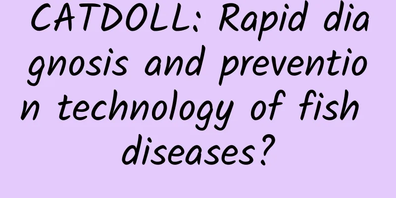 CATDOLL: Rapid diagnosis and prevention technology of fish diseases?