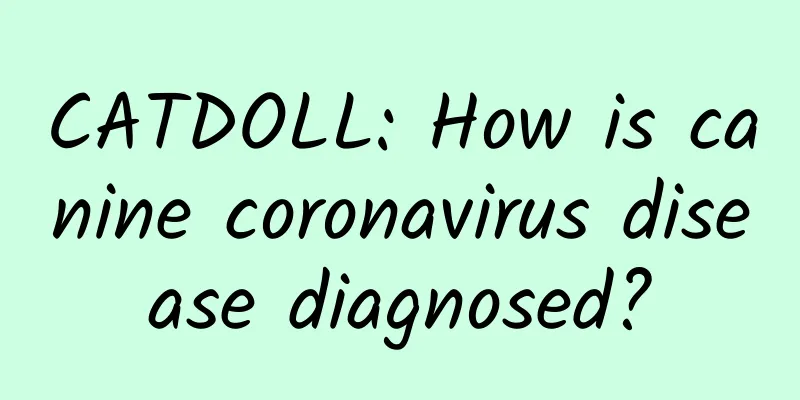 CATDOLL: How is canine coronavirus disease diagnosed?