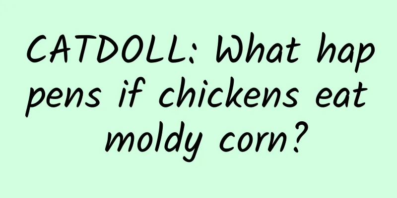 CATDOLL: What happens if chickens eat moldy corn?