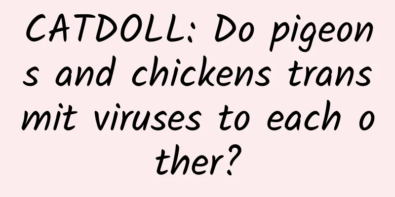 CATDOLL: Do pigeons and chickens transmit viruses to each other?