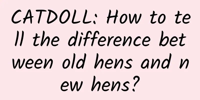 CATDOLL: How to tell the difference between old hens and new hens?