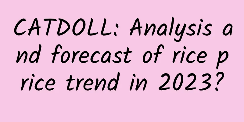 CATDOLL: Analysis and forecast of rice price trend in 2023?