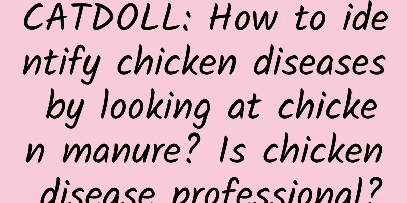 CATDOLL: How to identify chicken diseases by looking at chicken manure? Is chicken disease professional?