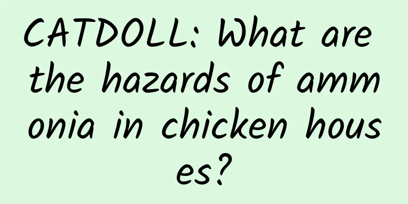 CATDOLL: What are the hazards of ammonia in chicken houses?