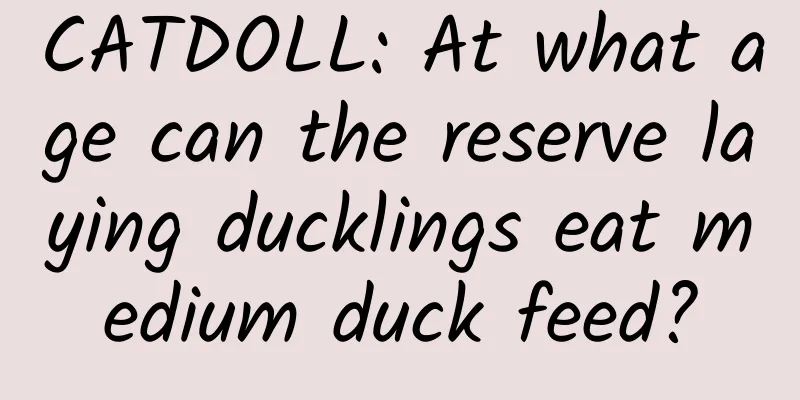 CATDOLL: At what age can the reserve laying ducklings eat medium duck feed?