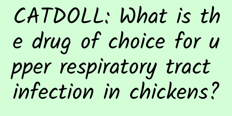 CATDOLL: What is the drug of choice for upper respiratory tract infection in chickens?