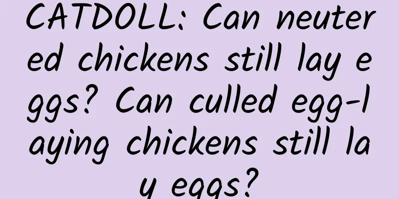 CATDOLL: Can neutered chickens still lay eggs? Can culled egg-laying chickens still lay eggs?
