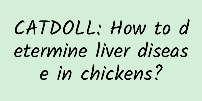 CATDOLL: How to determine liver disease in chickens?