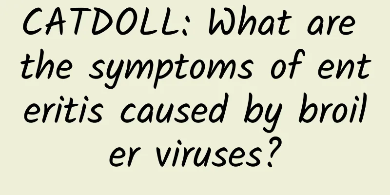 CATDOLL: What are the symptoms of enteritis caused by broiler viruses?