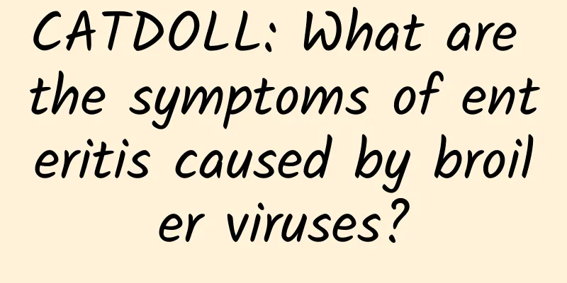 CATDOLL: What are the symptoms of enteritis caused by broiler viruses?