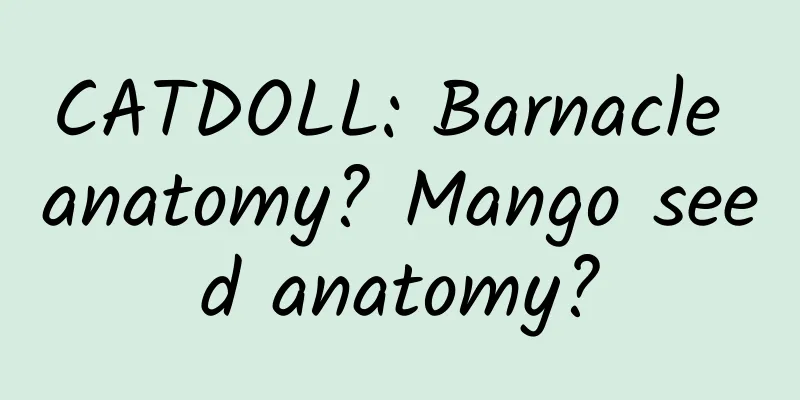 CATDOLL: Barnacle anatomy? Mango seed anatomy?