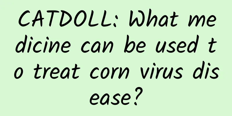 CATDOLL: What medicine can be used to treat corn virus disease?
