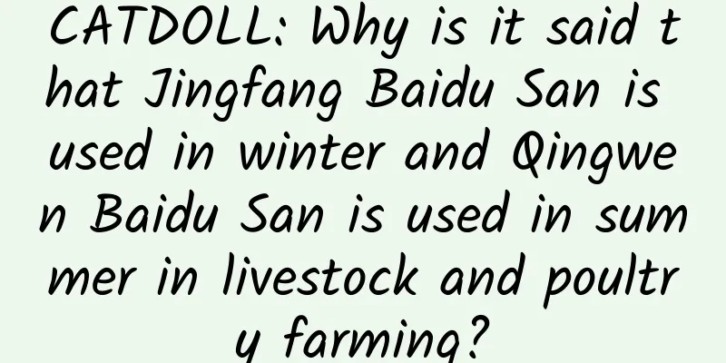 CATDOLL: Why is it said that Jingfang Baidu San is used in winter and Qingwen Baidu San is used in summer in livestock and poultry farming?