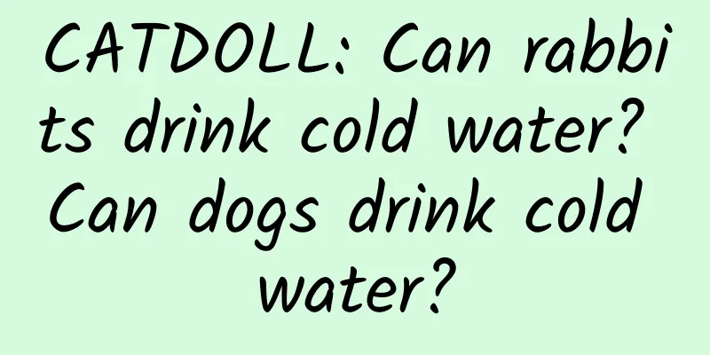 CATDOLL: Can rabbits drink cold water? Can dogs drink cold water?