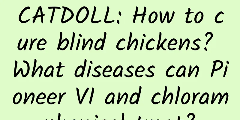 CATDOLL: How to cure blind chickens? What diseases can Pioneer VI and chloramphenicol treat?
