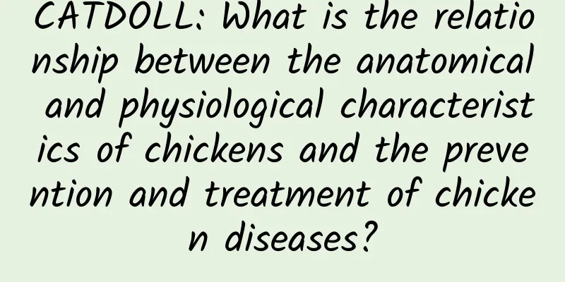 CATDOLL: What is the relationship between the anatomical and physiological characteristics of chickens and the prevention and treatment of chicken diseases?
